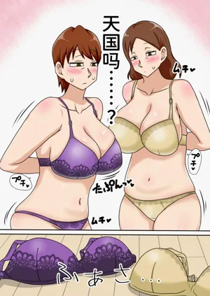 第17页图