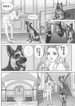 第120頁圖