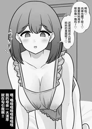 第276页图