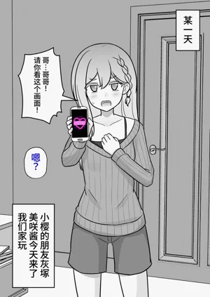 第482页图
