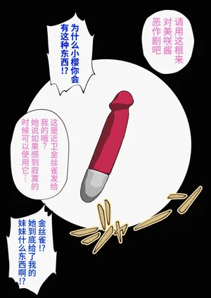 第509页图