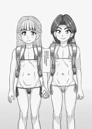 第294页图