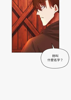 第42頁圖