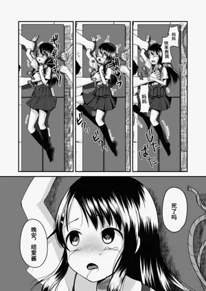 第5页图