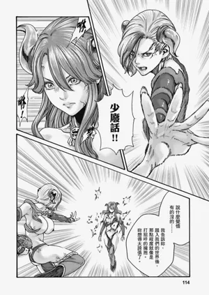 第115頁圖