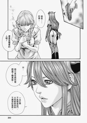 第204頁圖