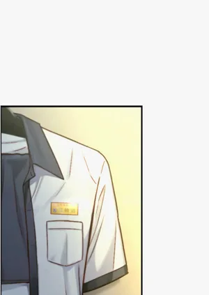 第242頁圖