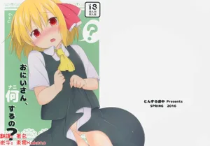 Onii-san, Nani Suru no? | 哥，這什么啊圖