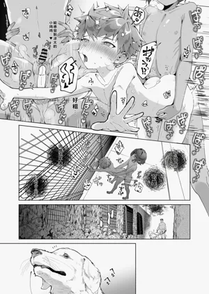 第33頁圖