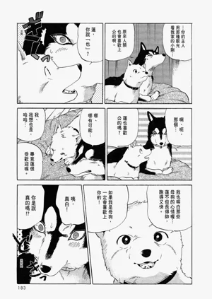 第185頁圖