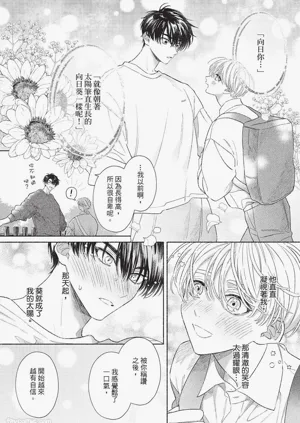第142頁圖