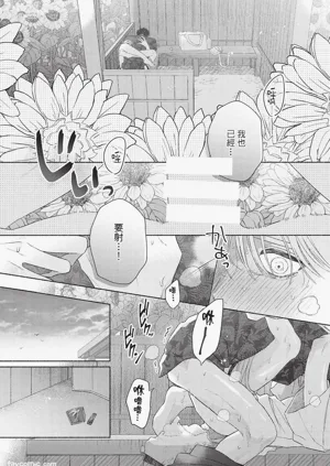 第91頁圖