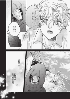 第45頁圖