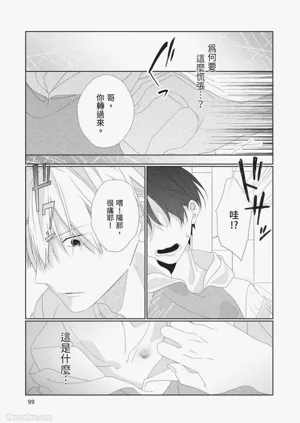 第100頁圖