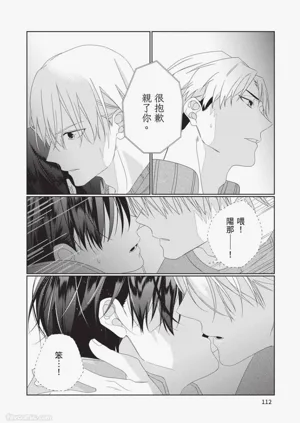 第113頁圖