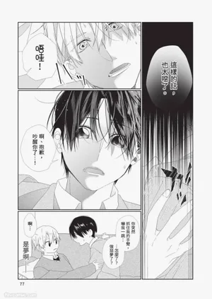 第78頁圖