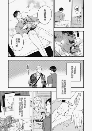 第17頁圖
