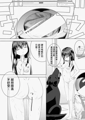 第27頁圖