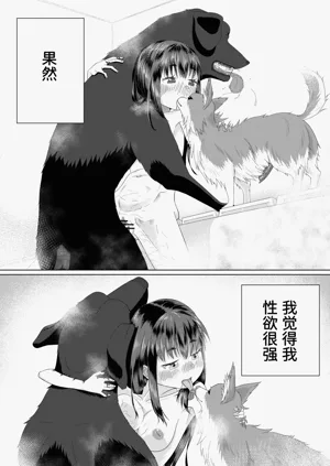 第29頁圖