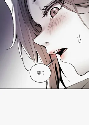 第151頁圖