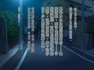 第29頁圖