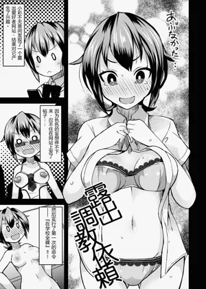 第3页图