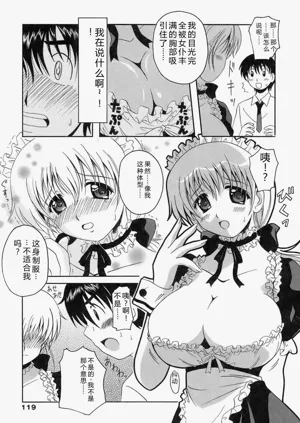 第119頁圖