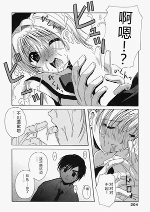 第204頁圖