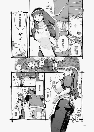 第33页图