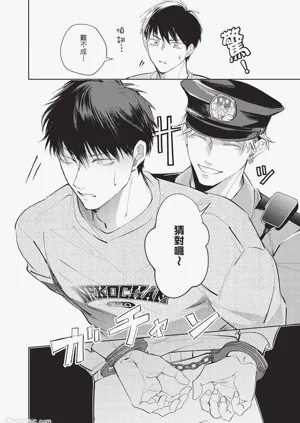 第203頁圖