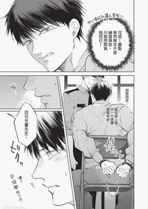 第206頁圖