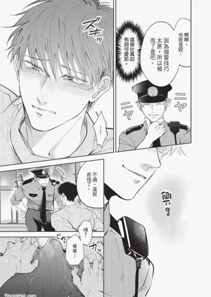 第212頁圖
