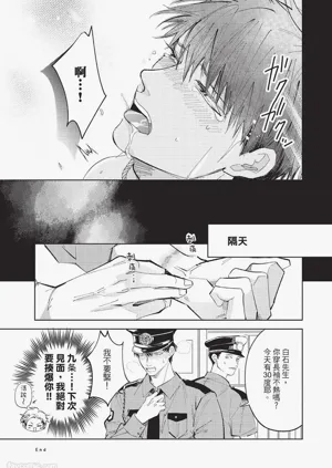 第242頁圖