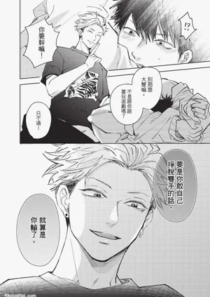 第31頁圖