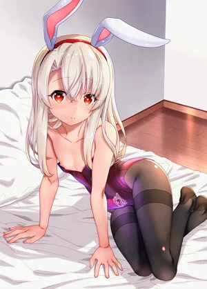 第13页图