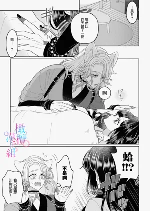 第31頁圖