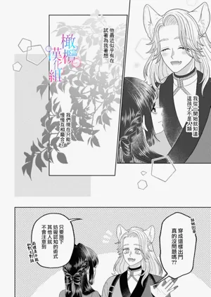 第38頁圖
