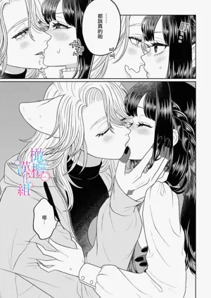 第41頁圖