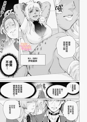 第51頁圖