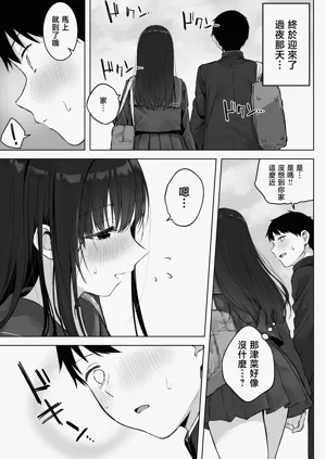 第13頁圖