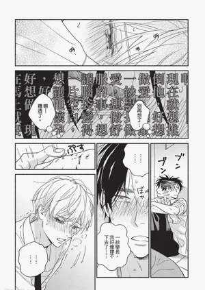 第31頁圖