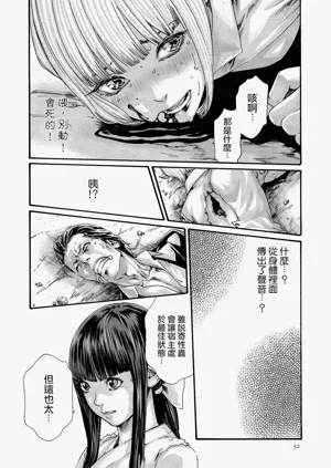 第31頁圖