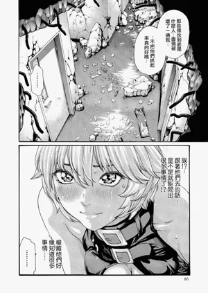 第85頁圖