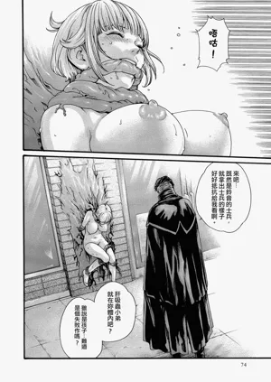 第74頁圖