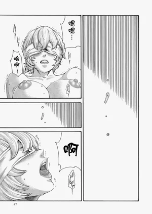 第47頁圖