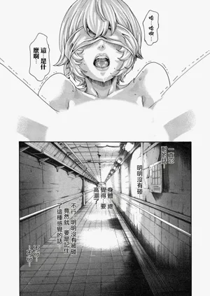 第53頁圖