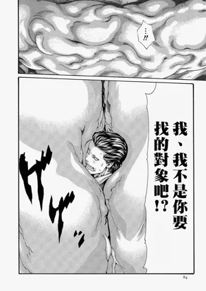 第84頁圖
