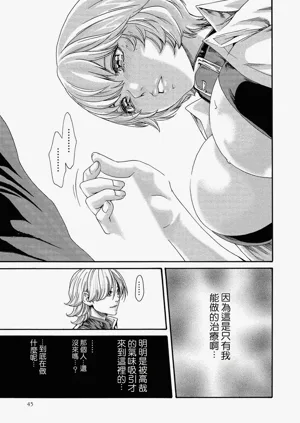 第45頁圖