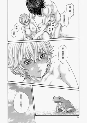第84页图