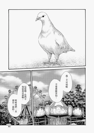 第91页图